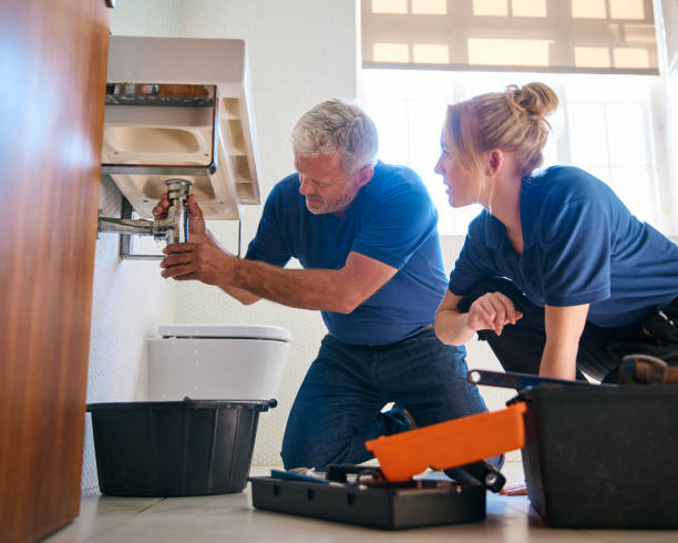 Best Clogged Drain Plumber  in Perry, OH